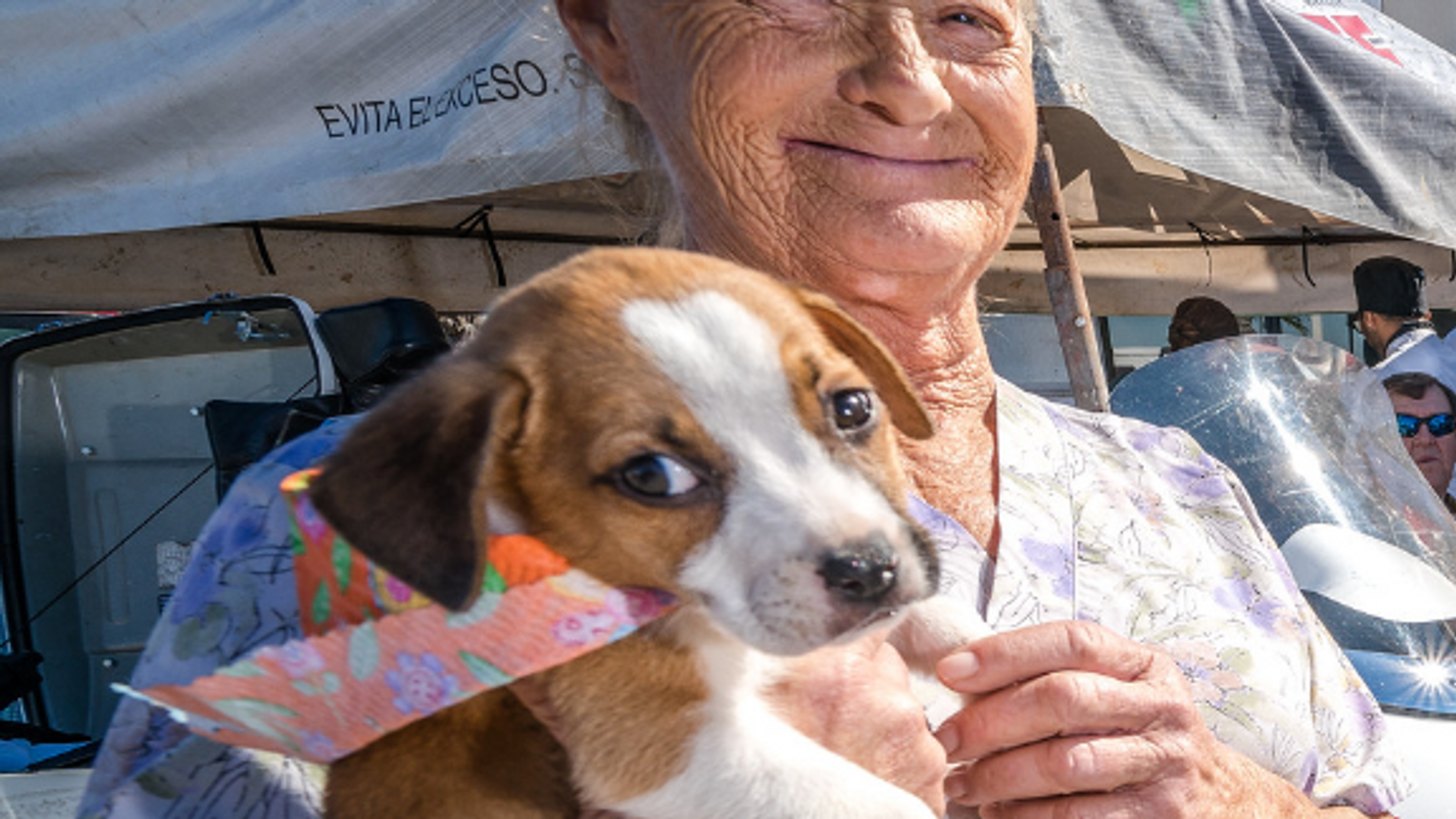 Barb's Dog Rescue, Puerto Penasco, Mexico